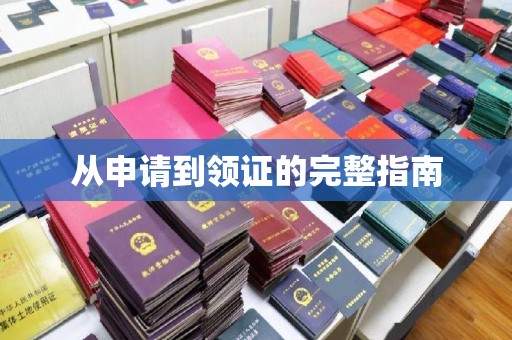 兴城从申请到领证的完整指南