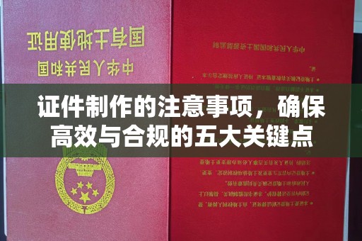 兴城证件制作的注意事项，确保高效与合规的五大关键点